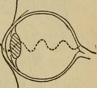 An illustration from The book of stars (1920)