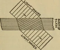 Picture 138 of 186 from The book of stars (1920), leaf 154