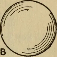 Picture 141 of 186 from The book of stars (1920), leaf 156