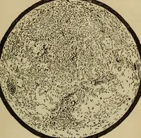Picture 151 of 186 from The book of stars (1920), leaf 166