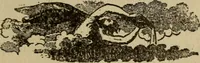An illustration from The book of stars (1920)