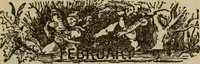 Picture 166 of 186 from The book of stars (1920), leaf 196