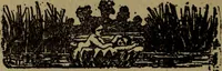 Picture 169 of 186 from The book of stars (1920), leaf 197