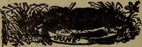 Picture 170 of 186 from The book of stars (1920), leaf 197