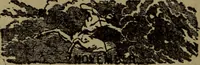 Picture 175 of 186 from The book of stars (1920), leaf 201