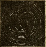Picture 179 of 186 from The book of stars (1920), leaf 208
