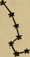 Picture 10 of 186 from The book of stars (1920), leaf 28
