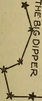 Picture 15 of 186 from The book of stars (1920), leaf 36