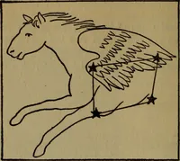 Picture 21 of 186 from The book of stars (1920), leaf 41