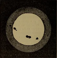 Picture 30 of 186 from The book of stars (1920), leaf 53