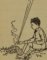Picture 34 of 186 from The book of stars (1920), leaf 59