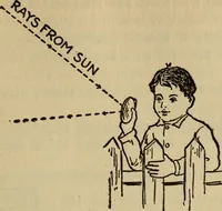 Picture 35 of 186 from The book of stars (1920), leaf 60