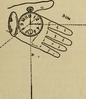 Picture 44 of 186 from The book of stars (1920), leaf 66