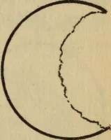 Picture 48 of 186 from The book of stars (1920), leaf 70