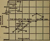 Picture 67 of 186 from The book of stars (1920), leaf 85