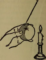 An illustration from The book of stars (1920)