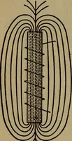 Picture 82 of 186 from The book of stars (1920), leaf 97