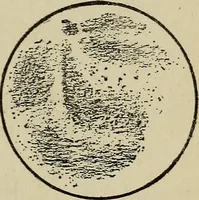 An illustration from The book of stars; being a simple explanation of the stars and their uses to boy life, written to conform to the tests of the Boy scouts (1915)