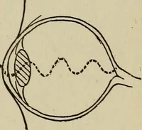 An illustration from The book of stars; being a simple explanation of the stars and their uses to boy life, written to conform to the tests of the Boy scouts (1915)
