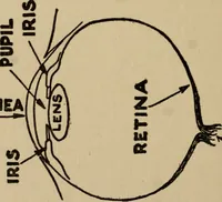 An illustration from The book of stars; being a simple explanation of the stars and their uses to boy life, written to conform to the tests of the Boy scouts (1915)