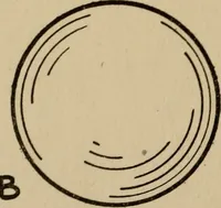 An illustration from The book of stars; being a simple explanation of the stars and their uses to boy life, written to conform to the tests of the Boy scouts (1915)