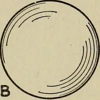 An illustration from The book of stars; being a simple explanation of the stars and their uses to boy life, written to conform to the tests of the Boy scouts (1915)