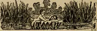 An illustration from The book of stars; being a simple explanation of the stars and their uses to boy life, written to conform to the tests of the Boy scouts (1915)