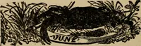 An illustration from The book of stars; being a simple explanation of the stars and their uses to boy life, written to conform to the tests of the Boy scouts (1915)