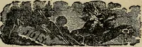 An illustration from The book of stars; being a simple explanation of the stars and their uses to boy life, written to conform to the tests of the Boy scouts (1915)