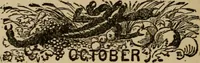An illustration from The book of stars; being a simple explanation of the stars and their uses to boy life, written to conform to the tests of the Boy scouts (1915)