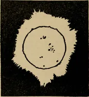 An illustration from The book of stars; being a simple explanation of the stars and their uses to boy life, written to conform to the tests of the Boy scouts (1915)