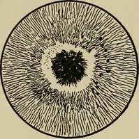 An illustration from The book of stars; being a simple explanation of the stars and their uses to boy life, written to conform to the tests of the Boy scouts (1915)