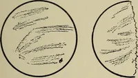 An illustration from The book of stars; being a simple explanation of the stars and their uses to boy life, written to conform to the tests of the Boy scouts (1915)