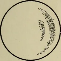 An illustration from The book of stars; being a simple explanation of the stars and their uses to boy life, written to conform to the tests of the Boy scouts (1915)
