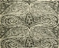 An illustration from A book of studies in plant form with some suggestions for their application to design (1896)