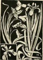 An illustration from A book of studies in plant form with some suggestions for their application to design (1896)