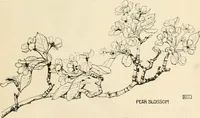 An illustration from A book of studies in plant form with some suggestions for their application to design (1896)