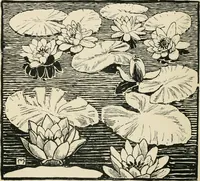 An illustration from A book of studies in plant form with some suggestions for their application to design (1896)