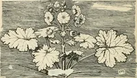An illustration from A book of studies in plant form with some suggestions for their application to design (1896)