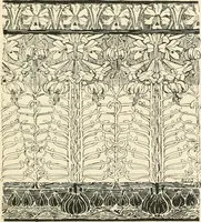 An illustration from A book of studies in plant form with some suggestions for their application to design (1896)