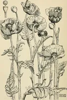 An illustration from A book of studies in plant form with some suggestions for their application to design (1896)