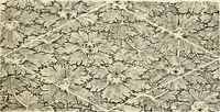 An illustration from A book of studies in plant form with some suggestions for their application to design (1896)