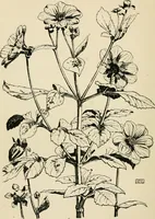 An illustration from A book of studies in plant form with some suggestions for their application to design (1896)