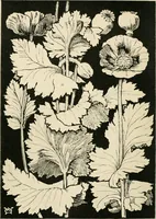 An illustration from A book of studies in plant form with some suggestions for their application to design (1896)