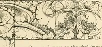 An illustration from A book of studies in plant form with some suggestions for their application to design (1896)