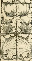 An illustration from A book of studies in plant form with some suggestions for their application to design (1896)