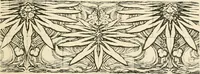 An illustration from A book of studies in plant form with some suggestions for their application to design (1896)