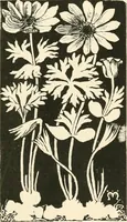 An illustration from A book of studies in plant form with some suggestions for their application to design (1896)