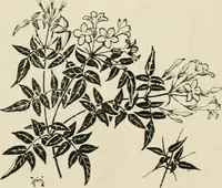 An illustration from A book of studies in plant form with some suggestions for their application to design (1896)