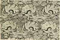 An illustration from A book of studies in plant form with some suggestions for their application to design (1896)